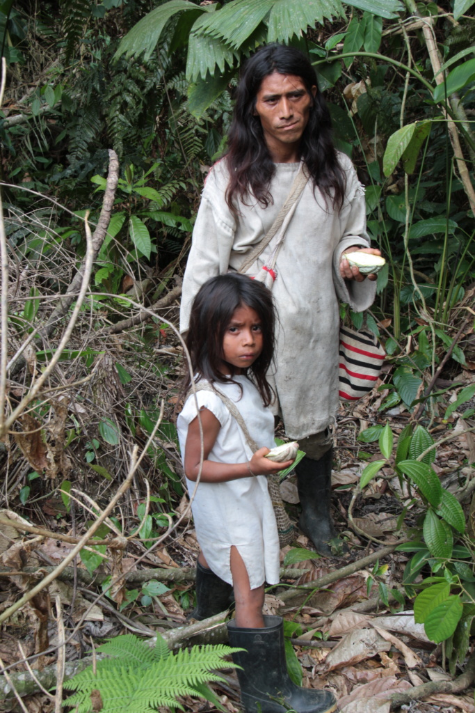 Kogi indigenous with white seed cacao pods