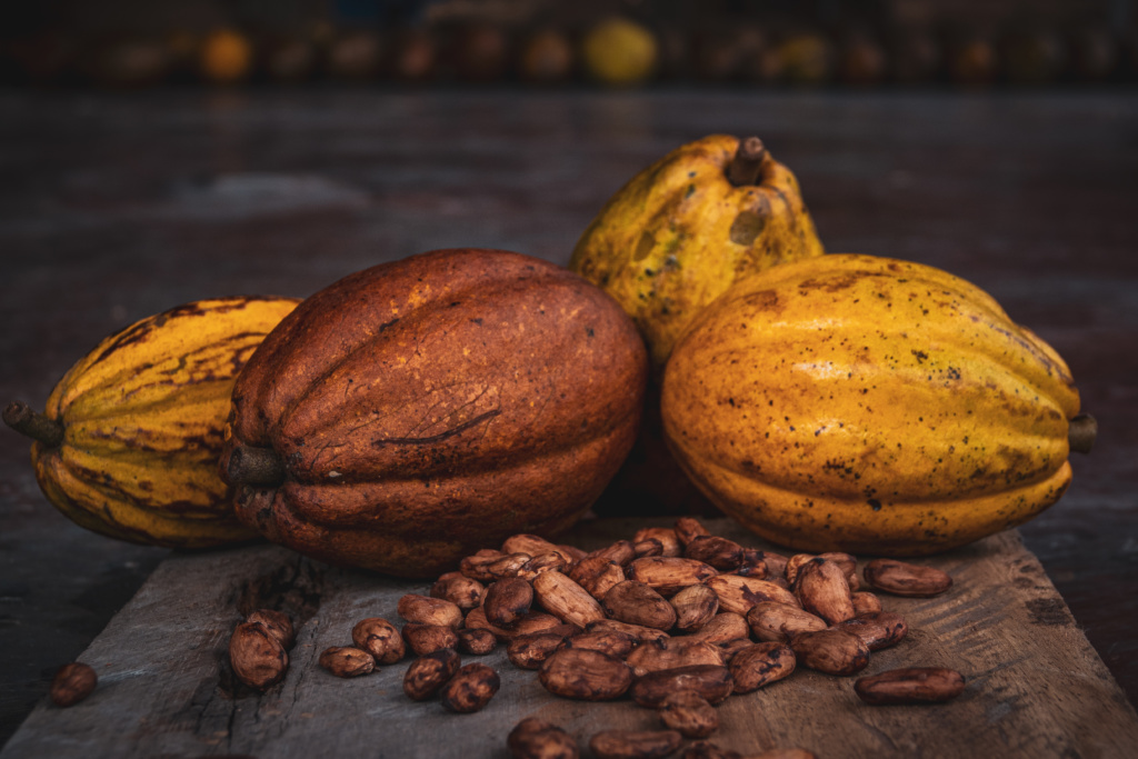 Cacao with cacao beans