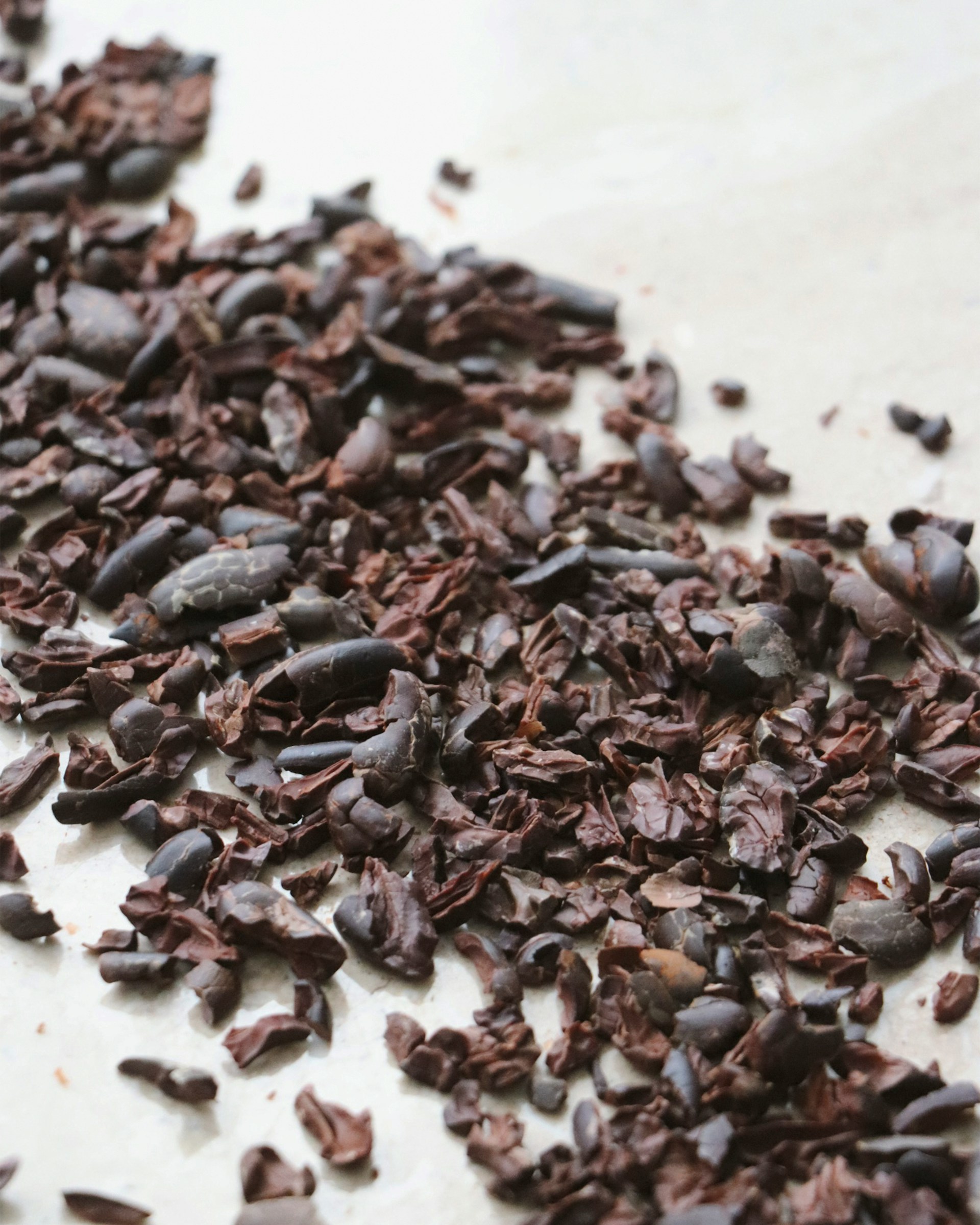 Cacao nibs