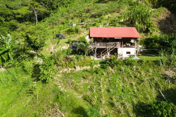 Casa Mariposa Azul (Blue Morpho)​ view to the house 2