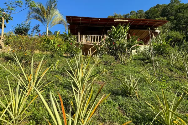 Casa Mariposa Azul (Blue Morpho)​ view to the house